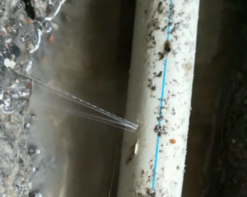 嘉兴市卫生间测漏水多少钱